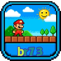br73